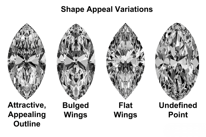 Variations of shape appeal.