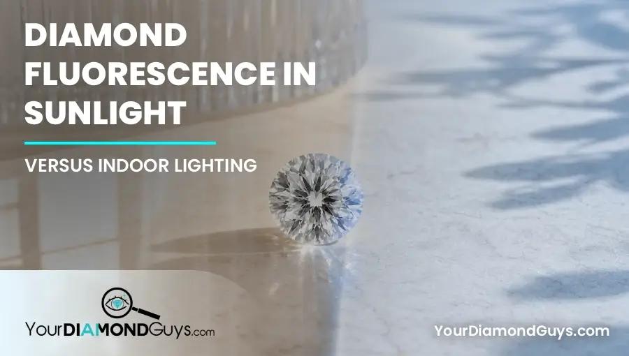 Fluorescence In Sunlight Vs Indoor Lighting