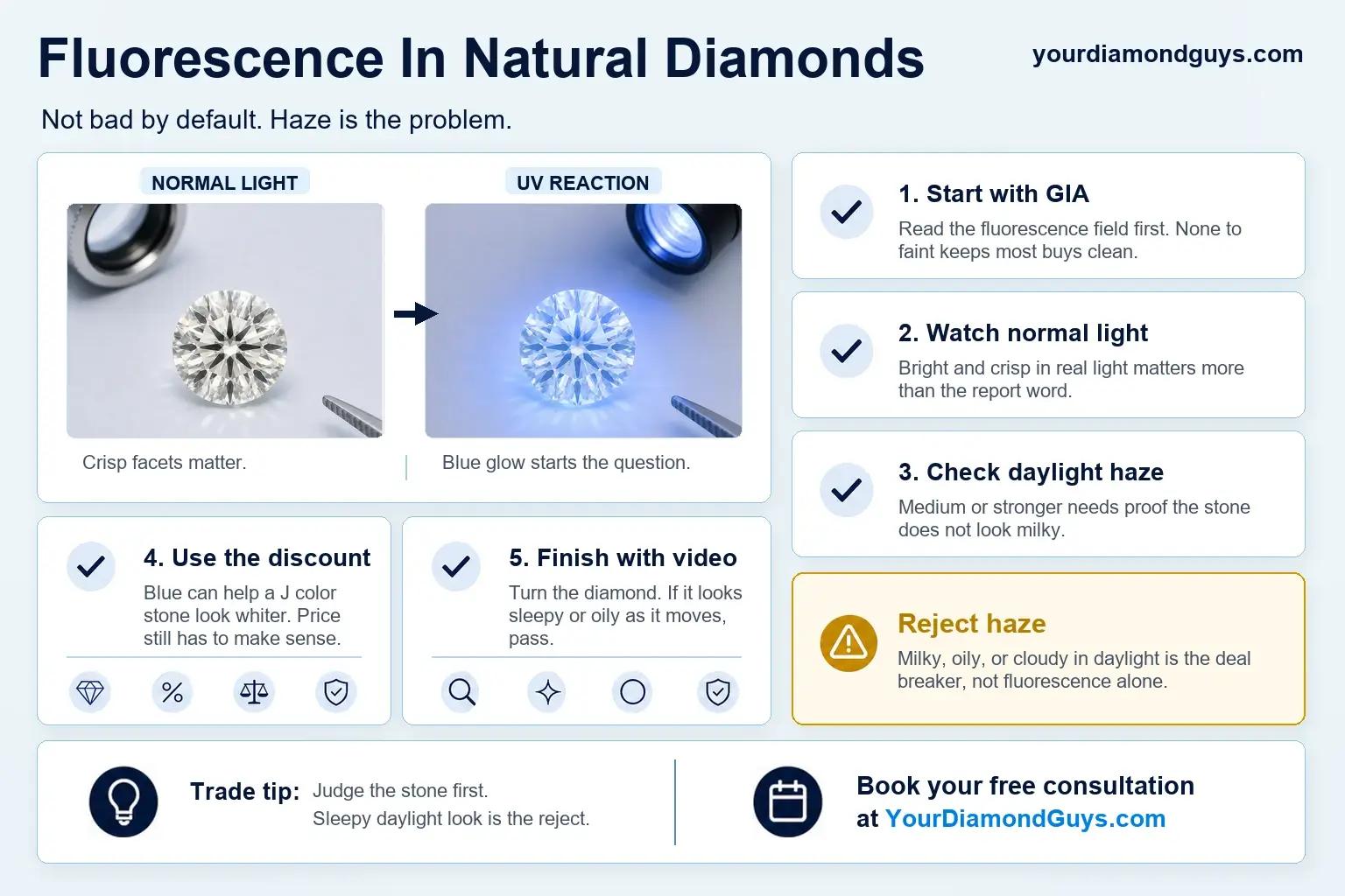 Infographic showing how to check fluorescence in natural diamonds with GIA, normal light, daylight haze, discount value, video review, and haze rejection signals.