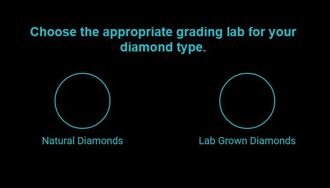 where each lab shows up most natural vs lab grown visual selection