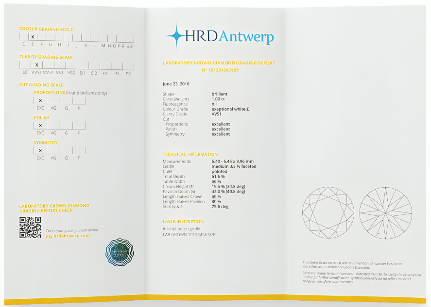 An HRD Antwerp report